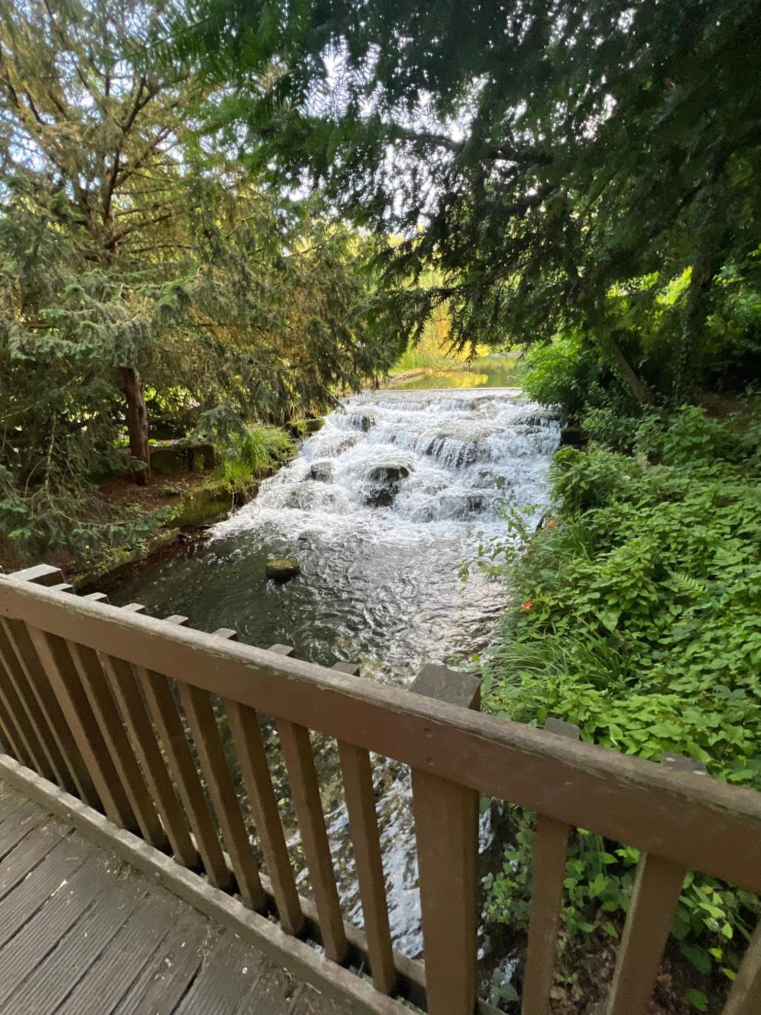 Cosy Private Flat In London, Free Parking On Premise Lejlighed Carshalton Eksteriør billede